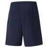 TeamRise Shorts