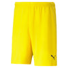 TeamRise Shorts