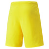 TeamRise Shorts