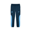 Manchester City FC ftblNRGY+ Track Pants 2024/25
