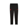 AC Milan Training Pants 2025/26
