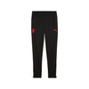 AC Milan Training Pants 2025/26