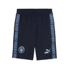 Manchester City FC King Sweat Shorts 2025/26