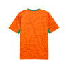 Ivory Coast FIF Home Jersey 2026/27