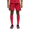 Portugal FPF Home Shorts 2026/27
