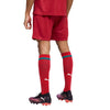 Portugal FPF Home Shorts 2026/27