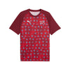 Switzerland SFV Pre-Match Jersey 2026/27
