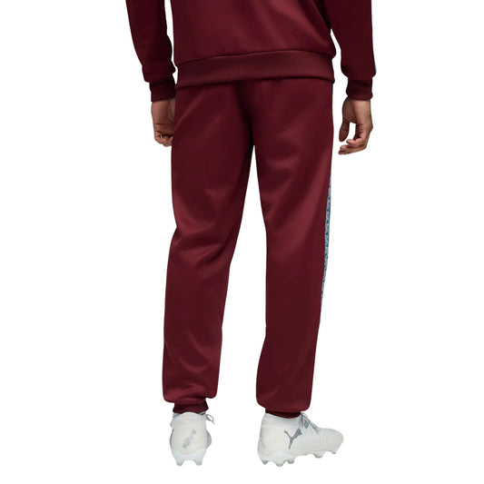 Portugal FPF King Anthem Pants 2026/27