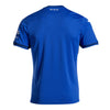 Hoffenheim Home Jersey 2024/2025