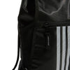 Alliance II Sackpack