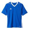 Tiro 17 Junior Jersey