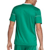 Squadra 17 Jersey