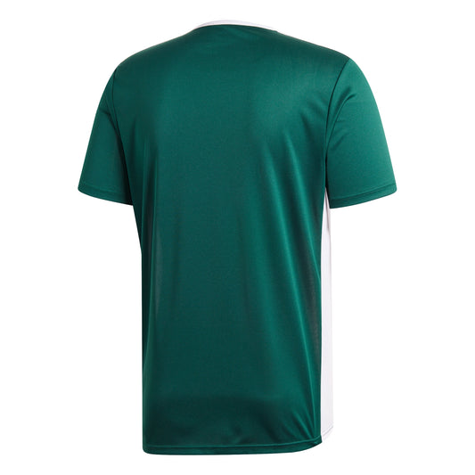 Entrada 18 Jersey