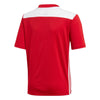 Regista 18 Junior Jersey