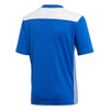 Regista 18 Junior Jersey