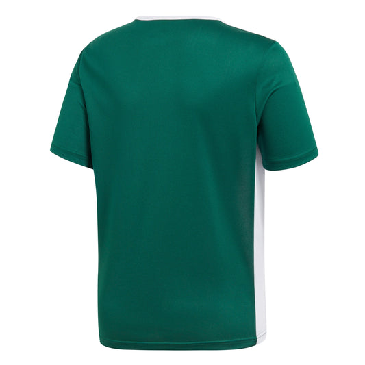 Entrada 18 Junior Jersey