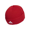 FC Bayern Munich Beanie