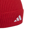 FC Bayern Munich Beanie