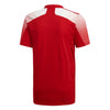 Regista 20 Jersey