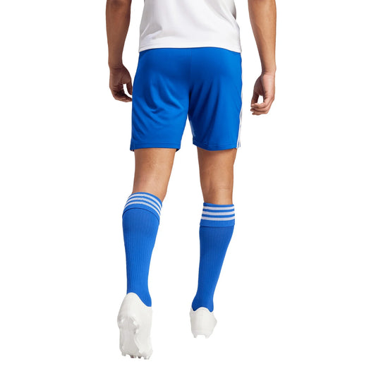 Squadra 21 Shorts