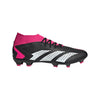 Predator Accuracy.2 Firm-Ground Cleats