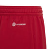 Entrada 22 Shorts