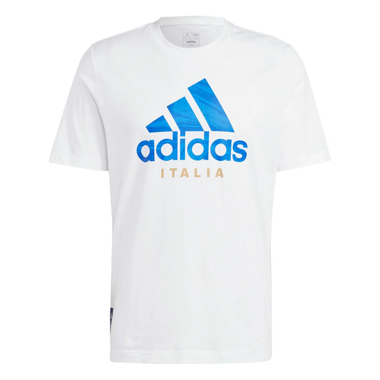Italy FIGC Graphic T-Shirt 2023 | EvangelistaSports.com | Canada's Premiere Soccer Store