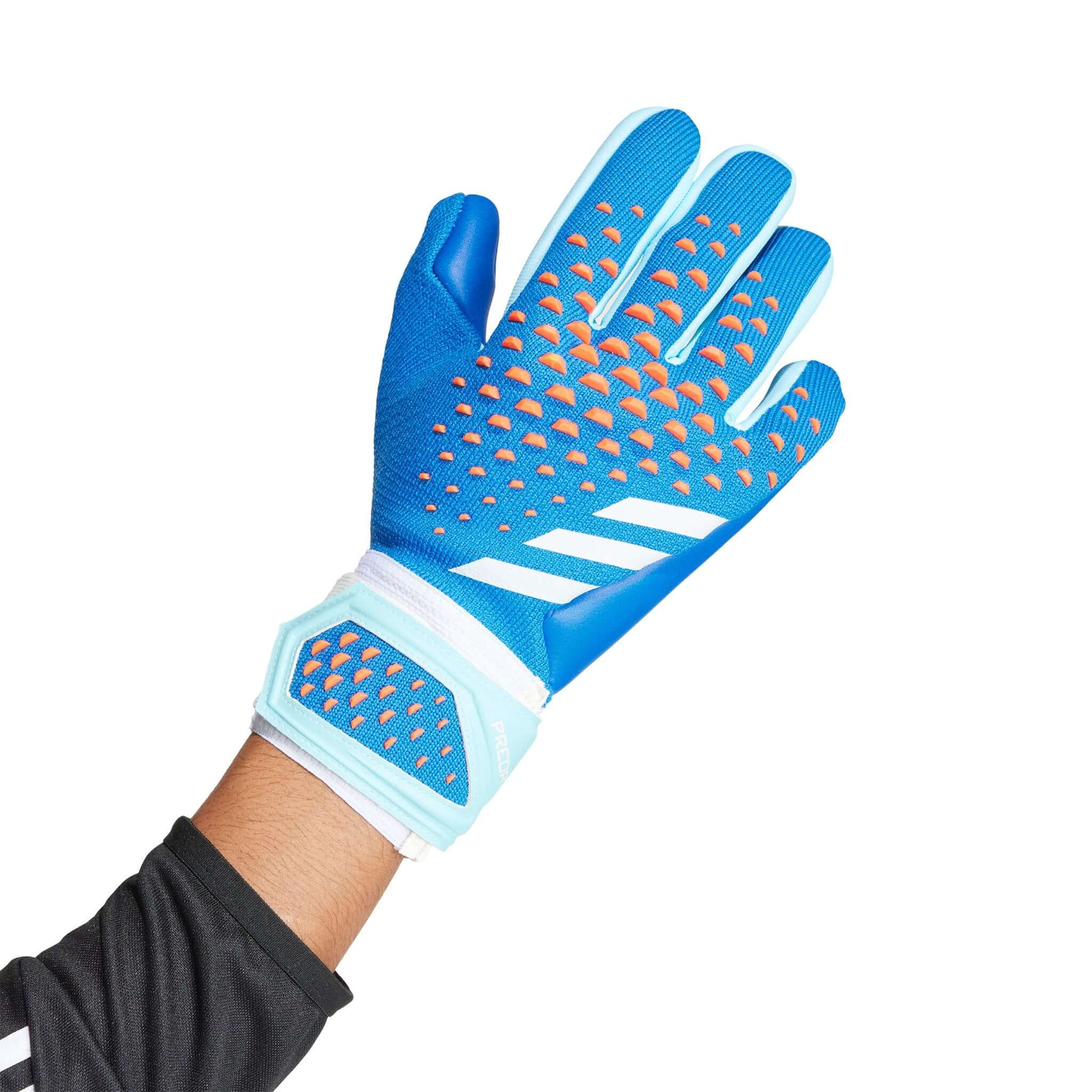 Predator League Goalkeeper Gloves | EvangelistaSports.com | Canada's Premiere Soccer Store