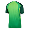 Nigeria NFF Match Home Jersey 2026/27