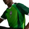 Nigeria NFF Stadium Home Jersey 2026/27