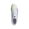 Predator Club Multi Ground Cleats