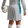Academy Dri-Fit Soccer Shorts