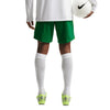 Nigeria NFF Stadium Home Shorts 2026/27
