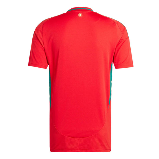 FA Wales Home Jersey 2024/25 | EvangelistaSports.com | Canada's Premiere Soccer Store