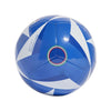Italy FIGC Fussballliebe Club Soccer Ball