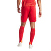 Tiro 24 Shorts
