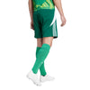 Tiro 24 Shorts