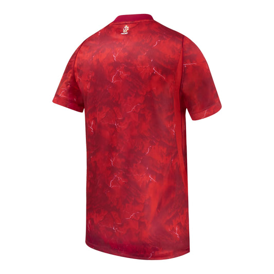 Poland PZPN Stadium Away Jersey 2026/27