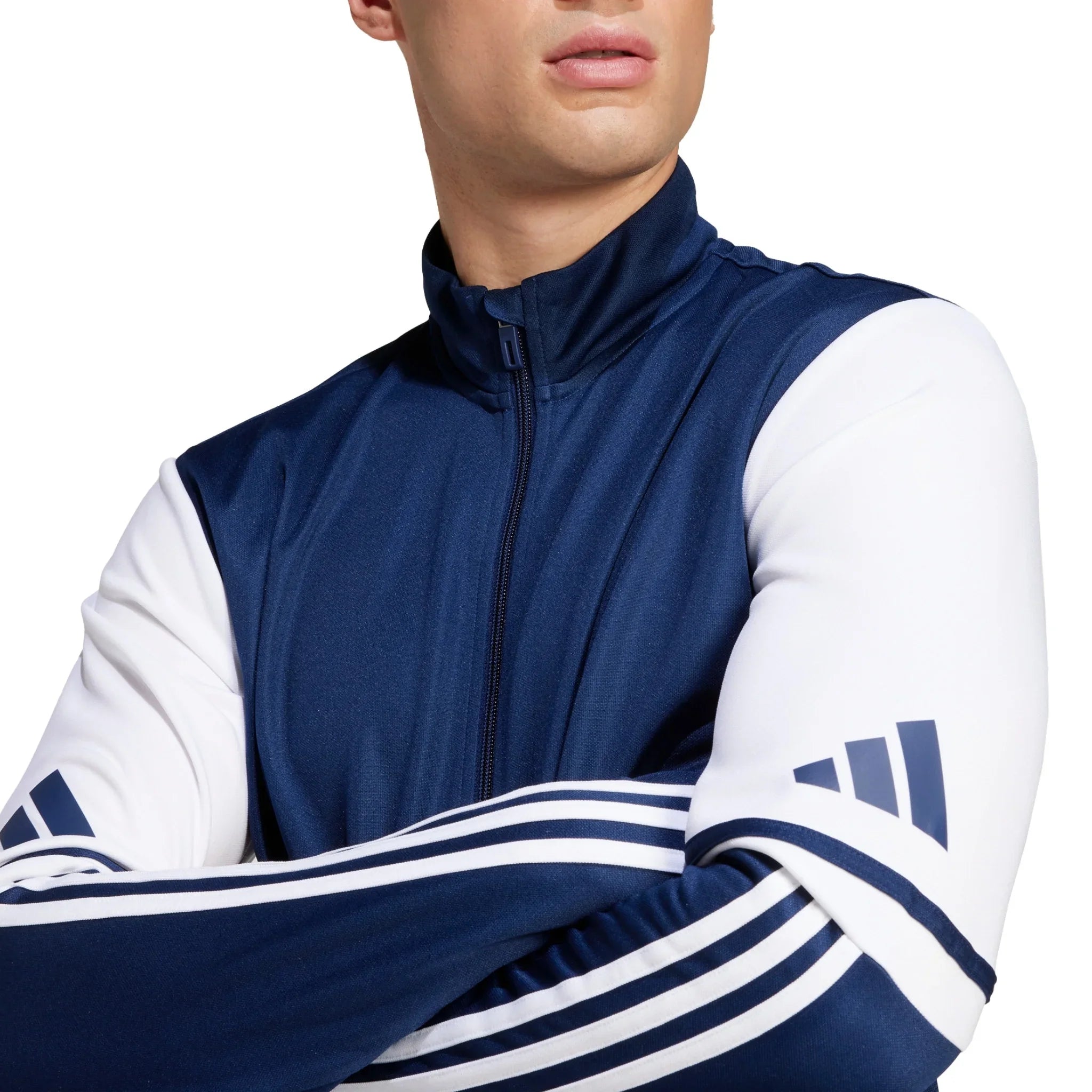 adidas Squadra 25 Training Jacket | Evangelista Sports