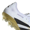 Predator Pro Firm Ground Cleats