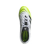 Predator Pro Firm Ground Cleats