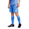 Tiro 24 Shorts