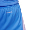 Tiro 24 Shorts