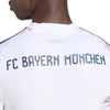 FC Bayern Munich Away Jersey 2025/26