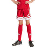Squadra 25 Junior Shorts