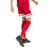 Squadra 25 Junior Shorts