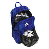 Stadium 4 Backpack