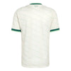 Northern Ireland IFA Away Jersey 2026/27