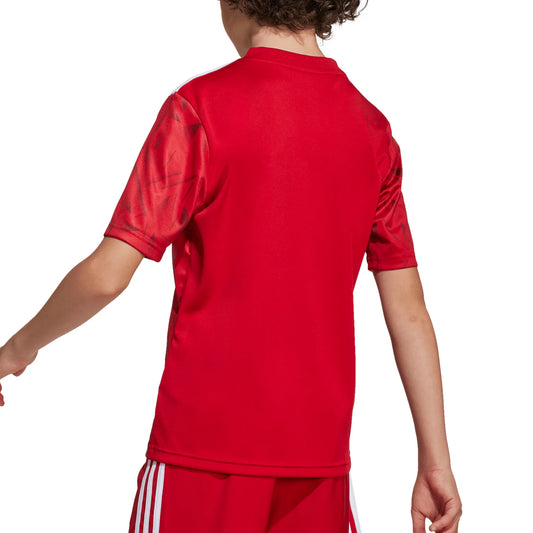 Team Icon 25 Junior Jersey