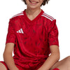 Team Icon 25 Junior Jersey